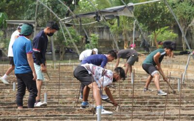 Farm visit at Sovima Village