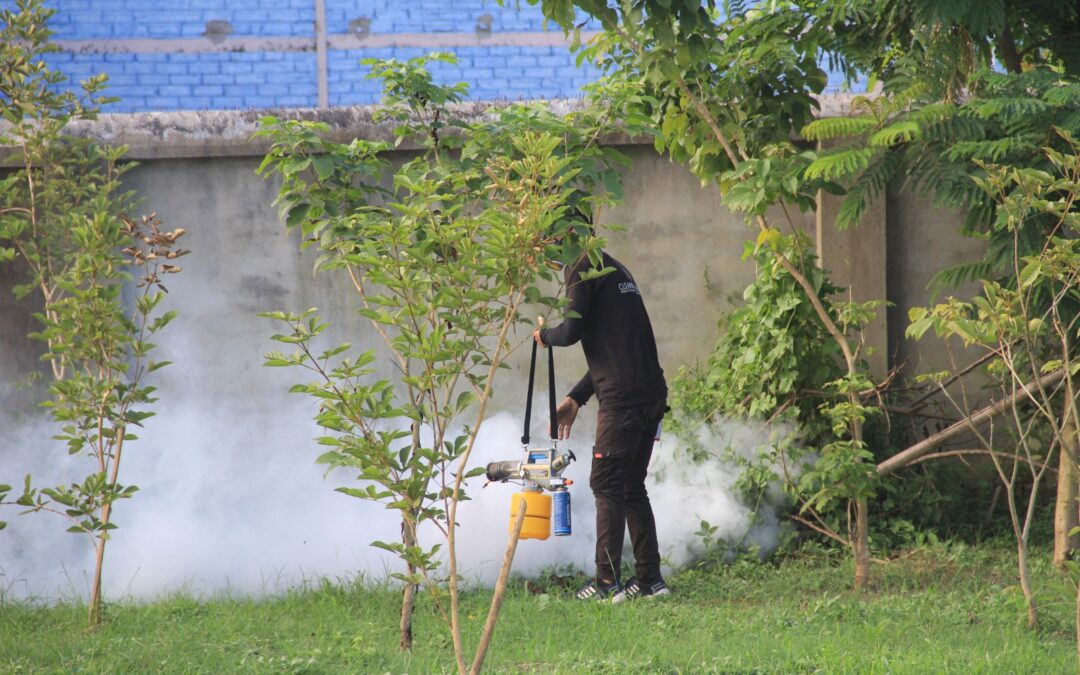 College fogging by Cleaning Buddies Professional Cleaning Service 